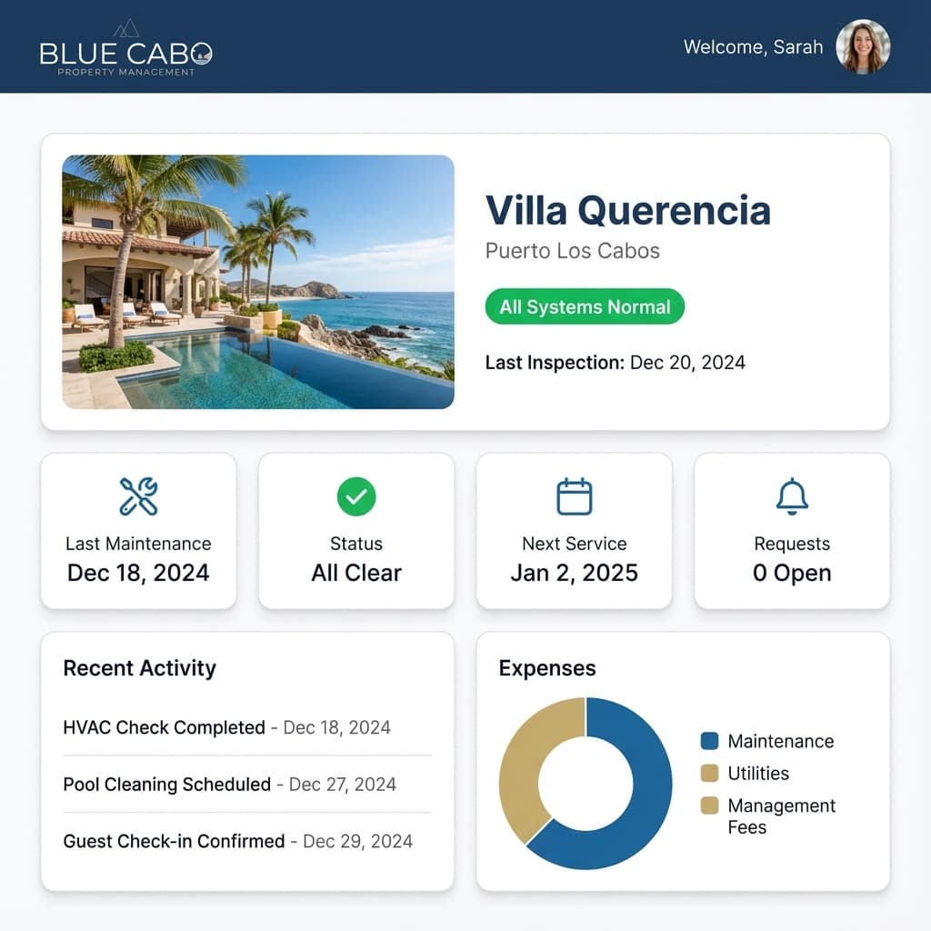 Blue Cabo owner portal dashboard preview